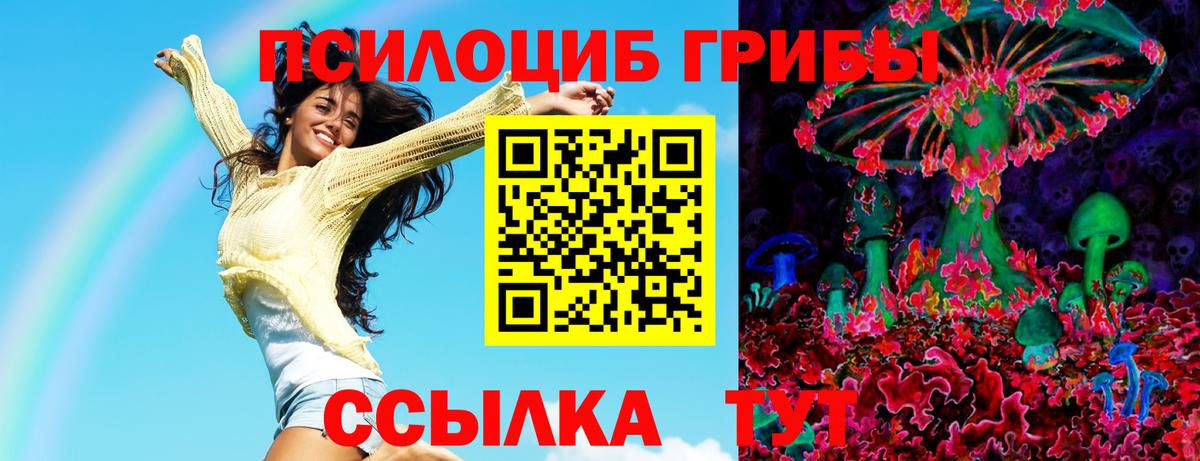 Галлюциногенные грибы Cubensis Зима