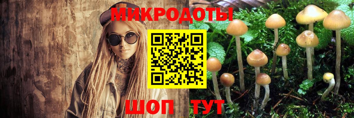 Зима  хочу наркоту  Вход с VPN  Галлюциногенные грибы Cubensis 